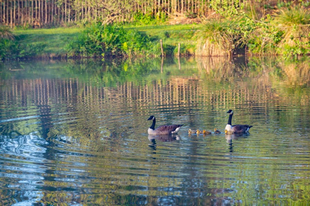 Rosefinch Sleeps 2 Persons-Private Hot Tub-Tranquil Holiday Away From It All Yet Not Far From St Austell- The Holiday Home Has One Bedroom, Living And Dining Area, Equipped Kitchen-Decking-Outdoor Furniture-Fishing Lakes-Non Pet Unit ภายนอก รูปภาพ